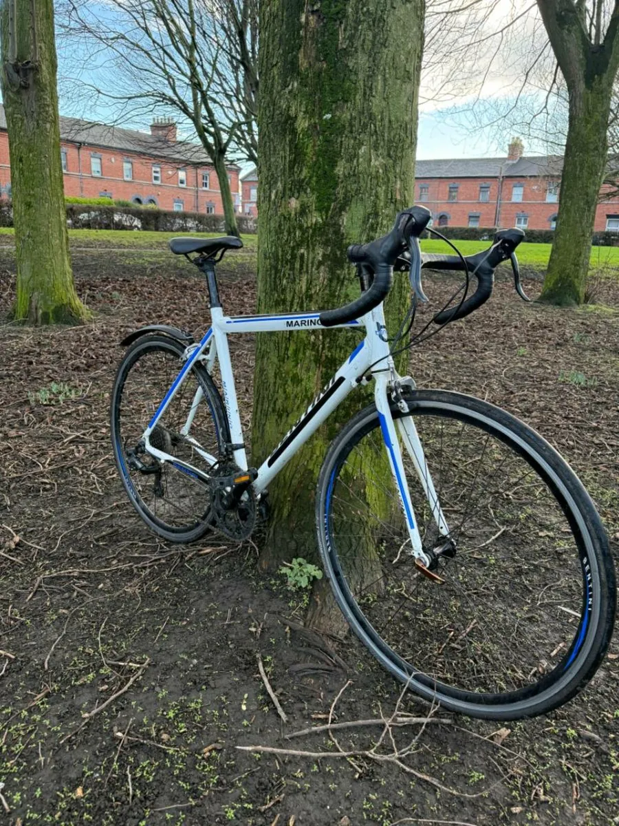 Bentini Road Bike - Image 3