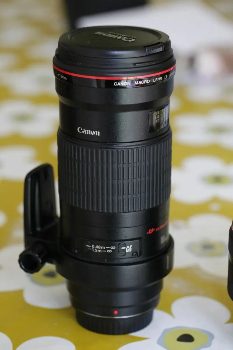 Canon lenses for sale price drop - Image 3