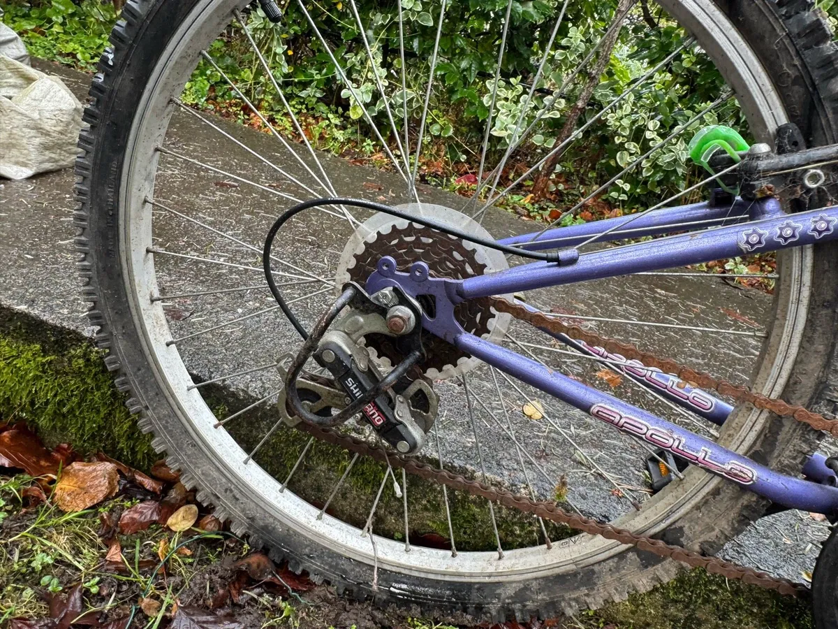 Raleigh Purple MTB kids bike - Image 2