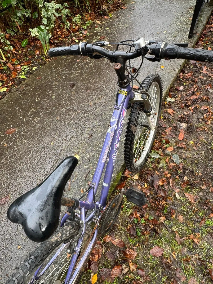 Raleigh Purple MTB kids bike - Image 3