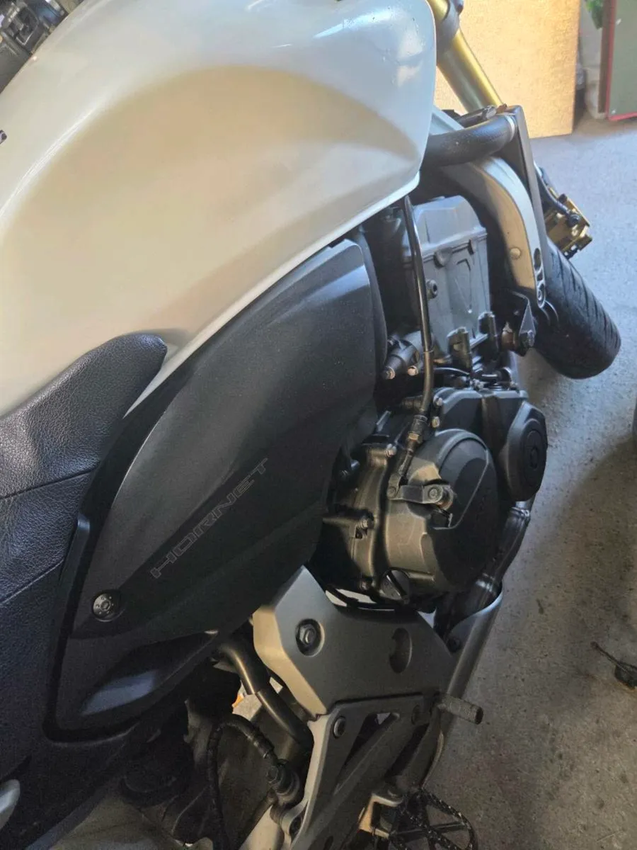 Honda hornet 600 - Image 4
