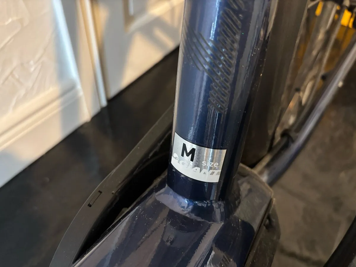 Giant Entoure 2019 E-Bike - Image 2