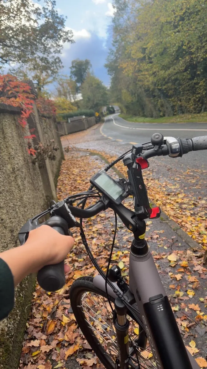 Ebike - Image 3