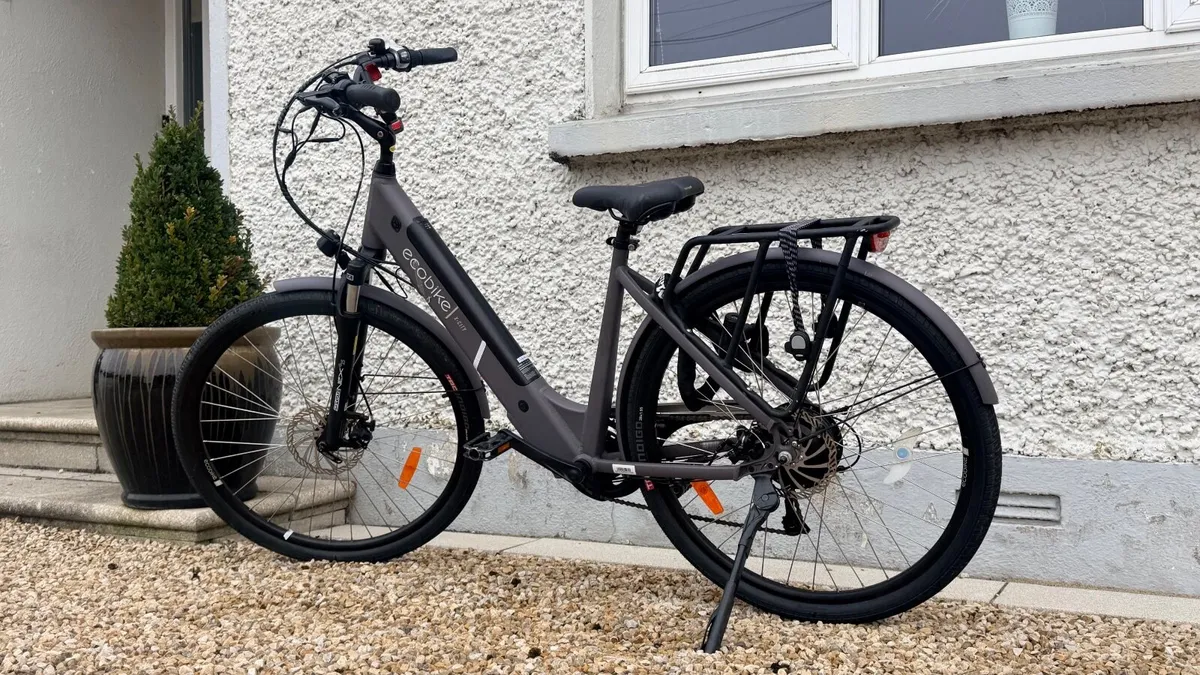 Ebike - Image 1