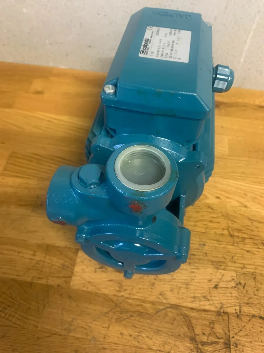 Calpeda Water Pump T70E - Image 3
