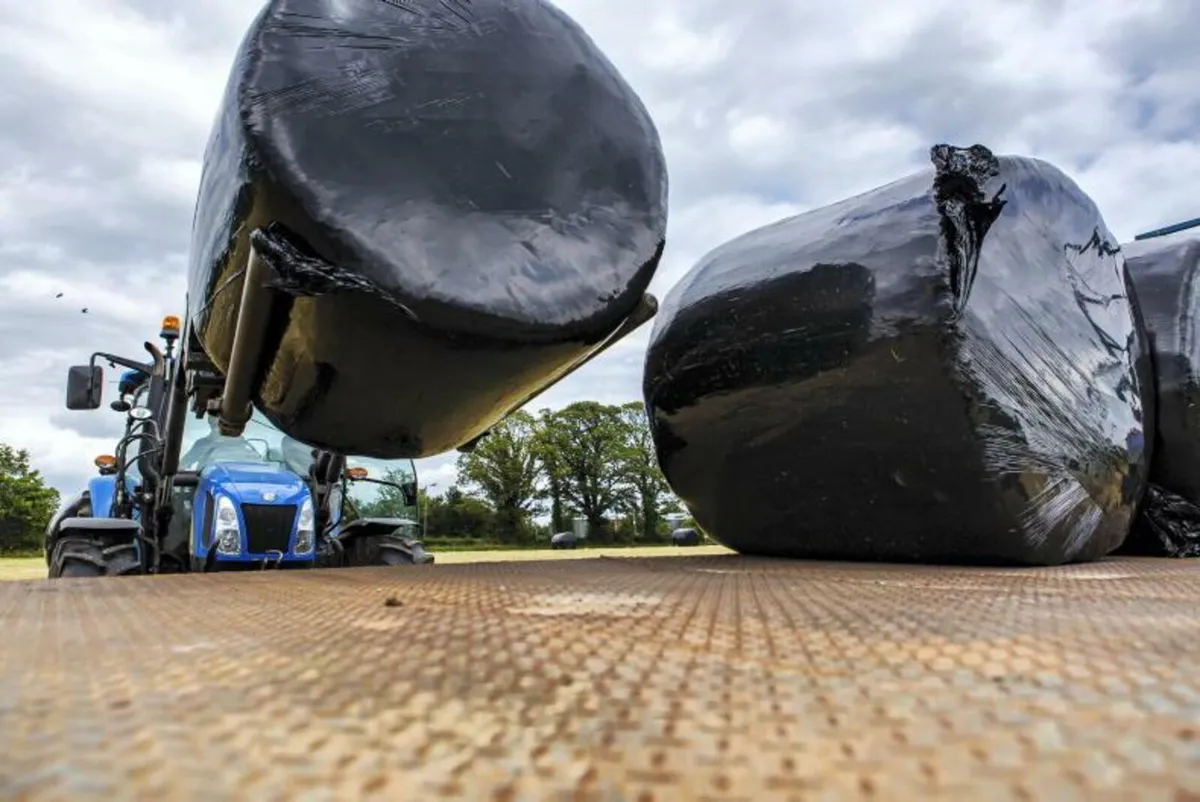 First cut top quality round bales silage 2025 - Image 2