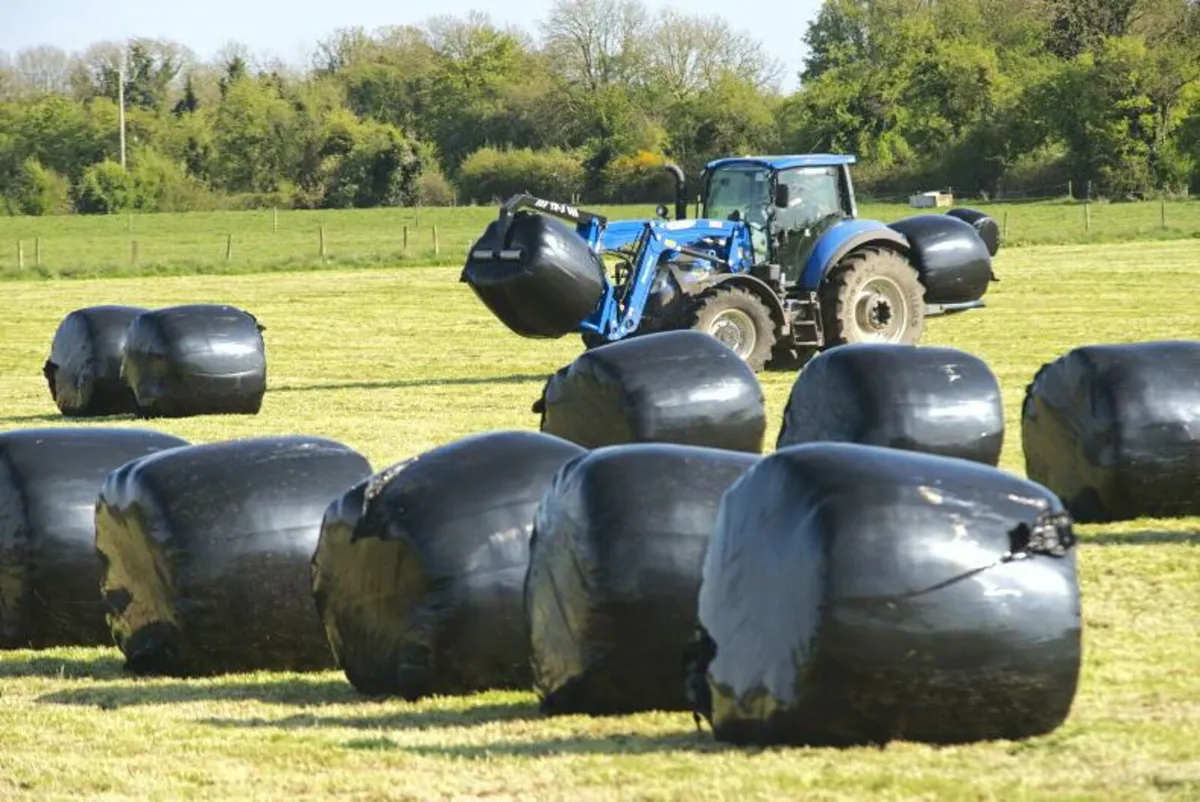 First cut top quality round bales silage 2025 - Image 3