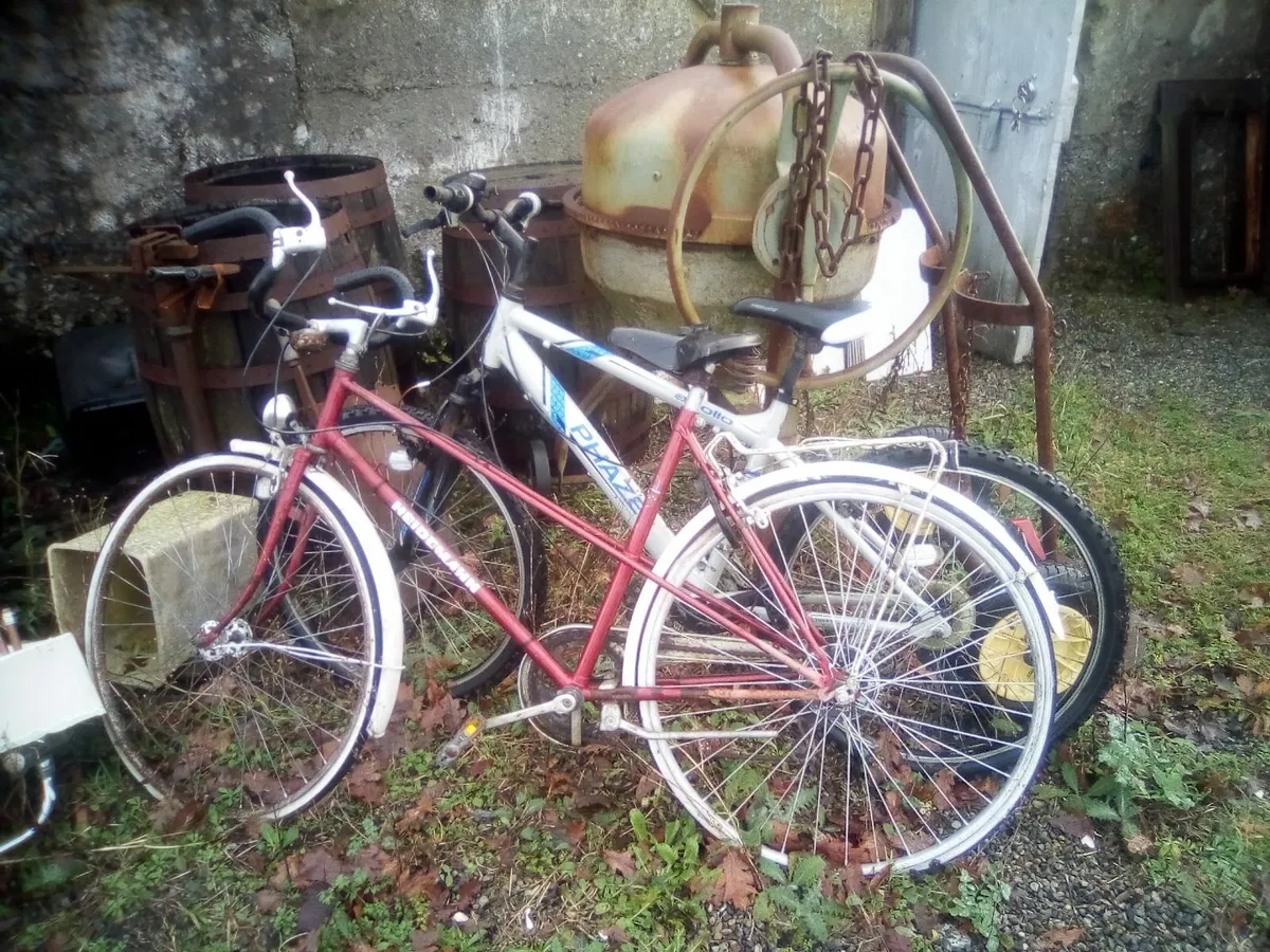 Bikes - Image 1