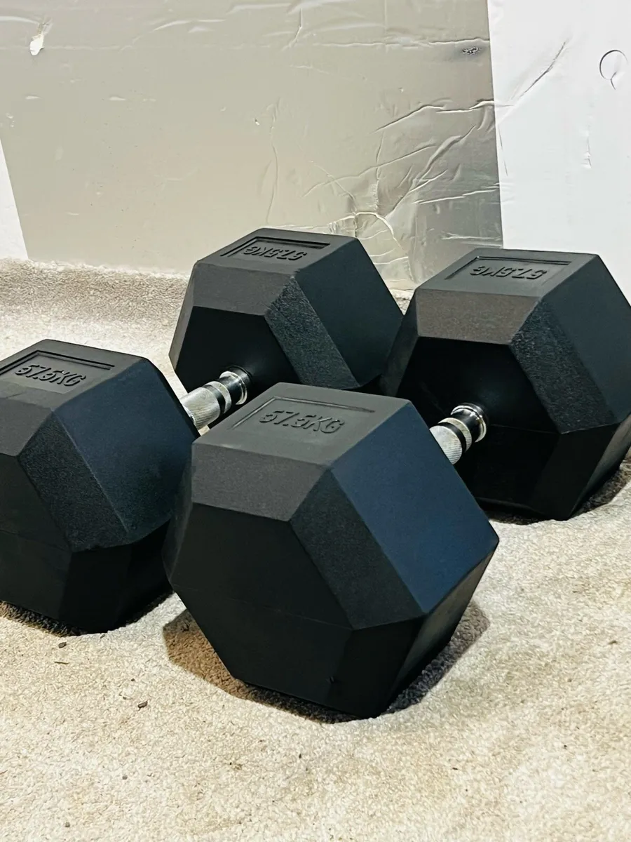 2 X 57.5 HEX DUMBBELLS - Image 1