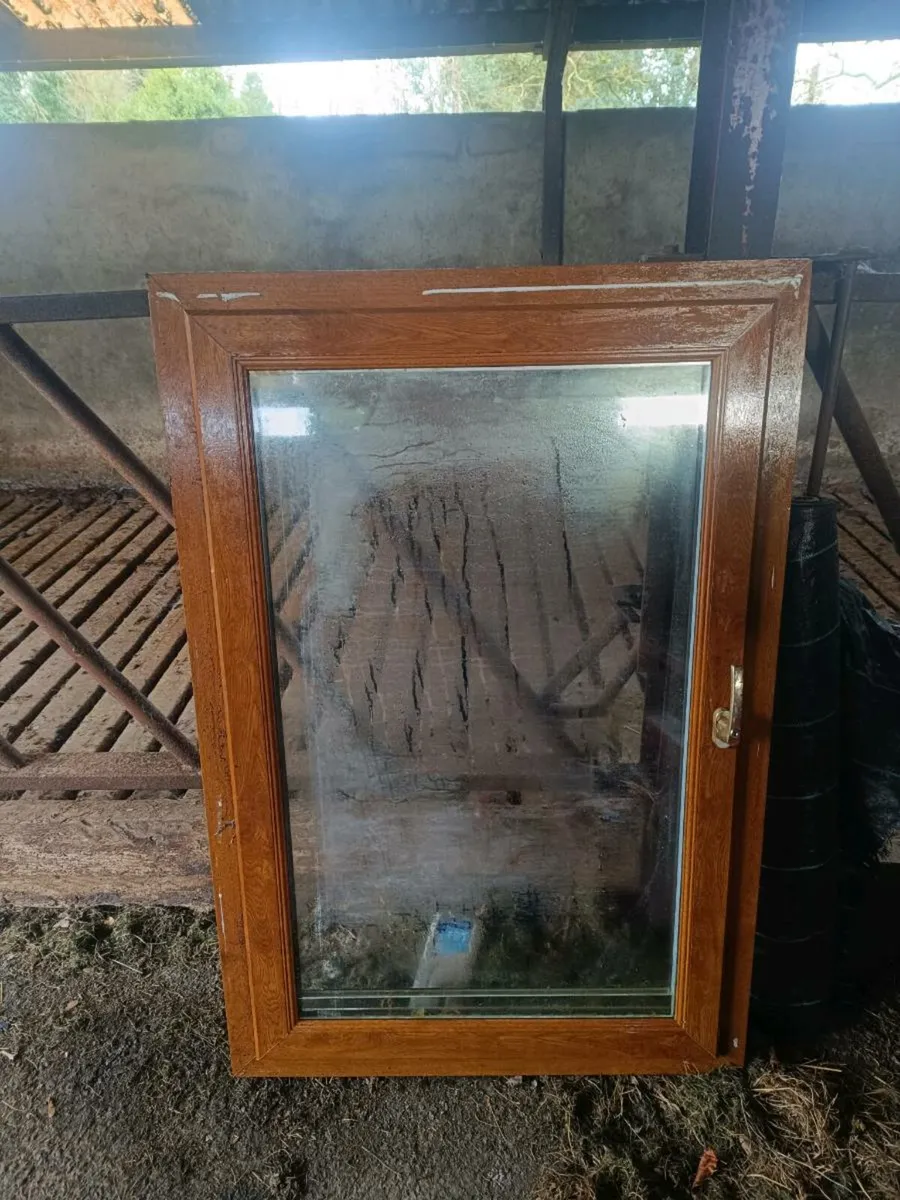 Windows and doors - Image 1