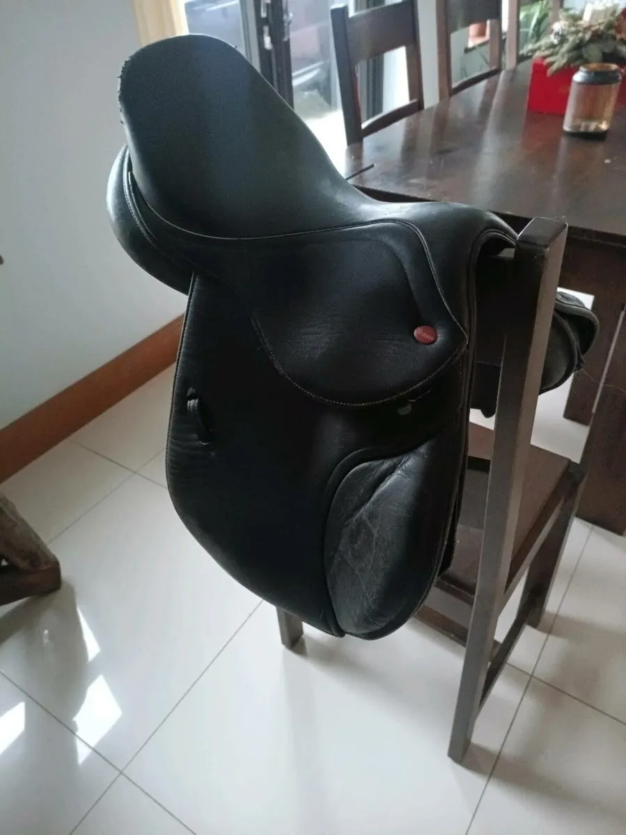 Saddle - Image 2