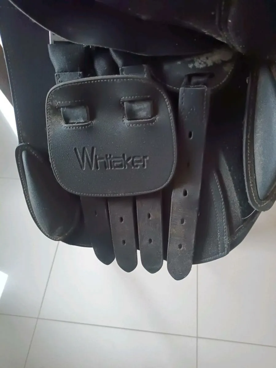 Saddle - Image 3