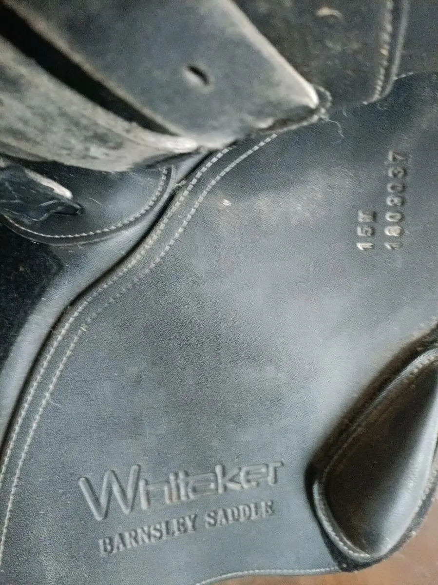 Saddle - Image 4