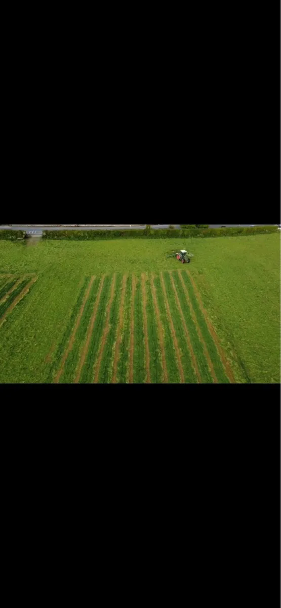 1st cut round silage bales - Image 1