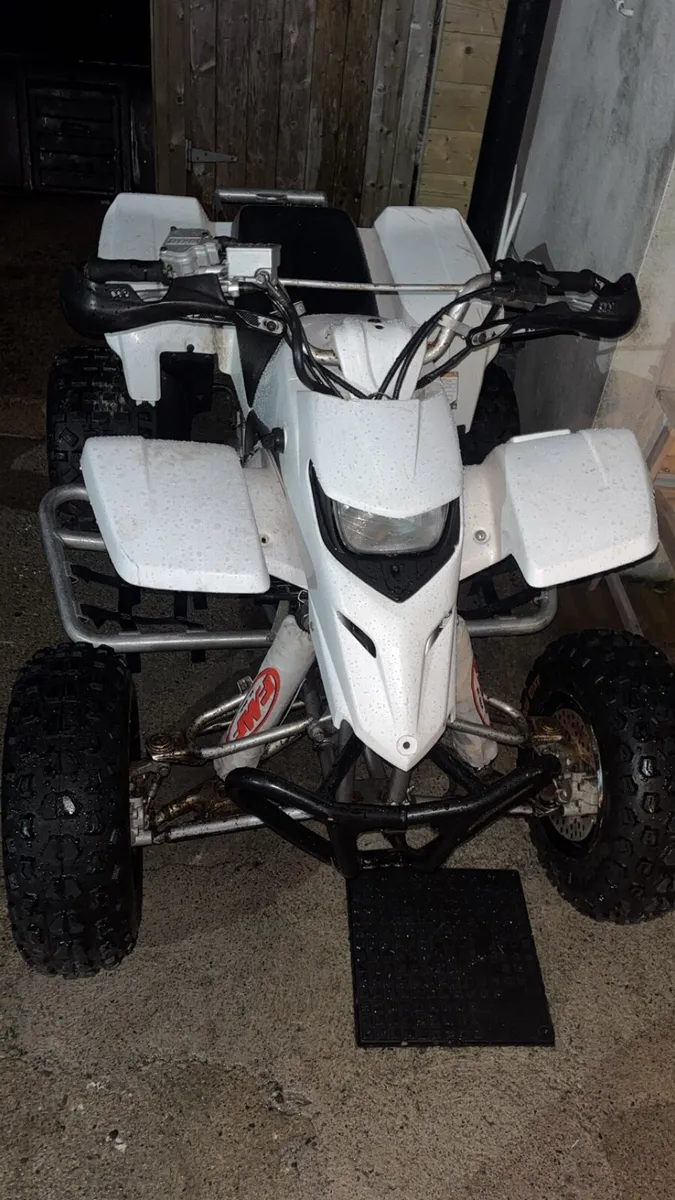 Yamaha blaster 200 - Image 3