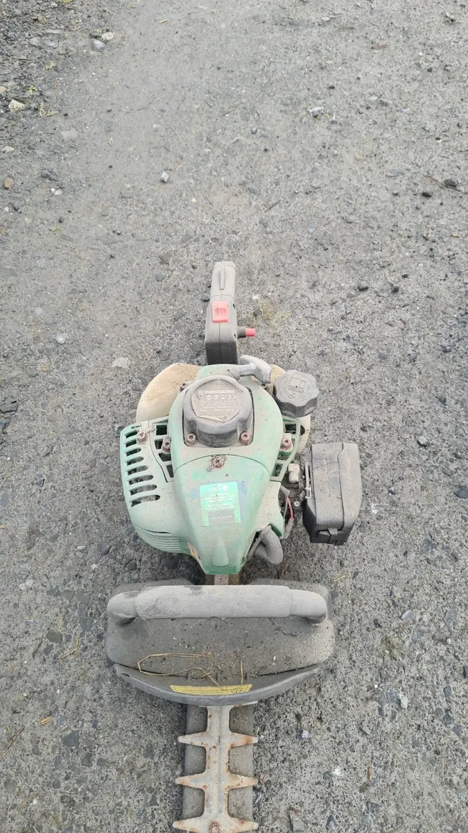 Shed Clear Out - in need of repair - Free - Image 3