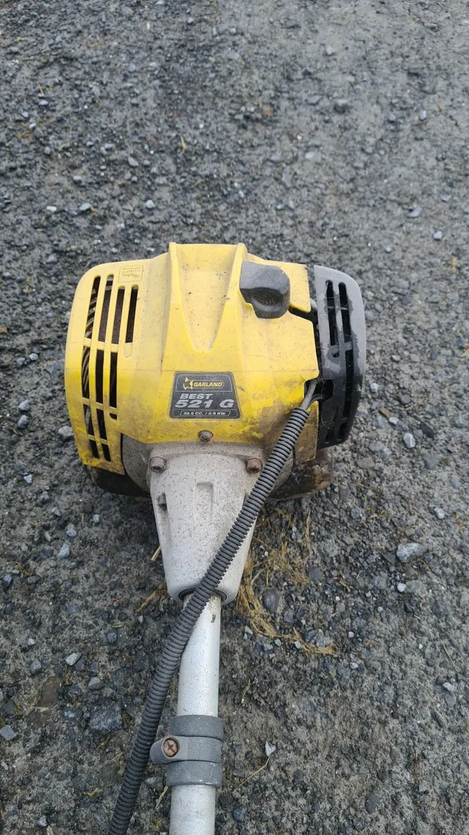 Shed Clear Out - in need of repair - Free - Image 2