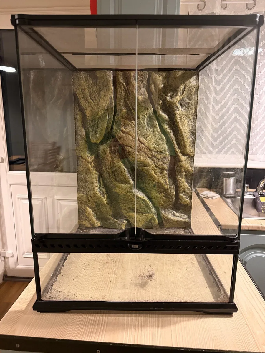 Exo Terra Glass Terrarium 45x45x60cm