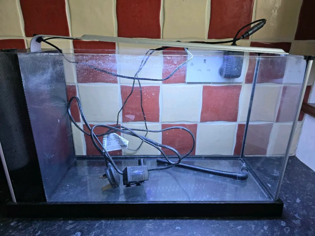 Fish tank - Image 1