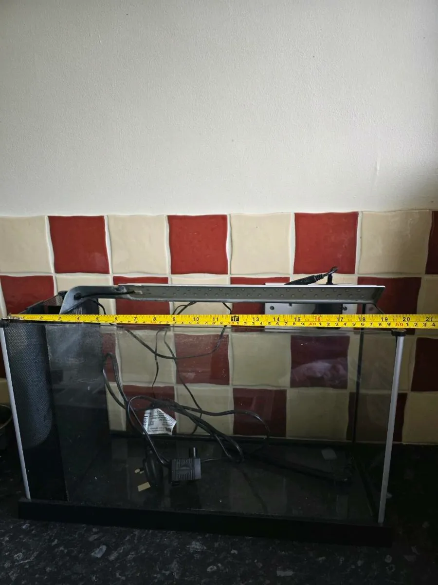 Fish tank - Image 4