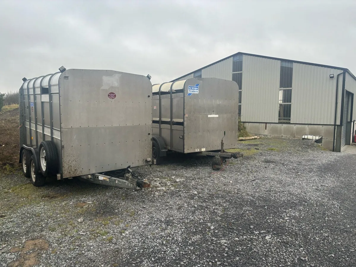 10x6 Ifor Williams Livestock Trailers x2 - Image 1