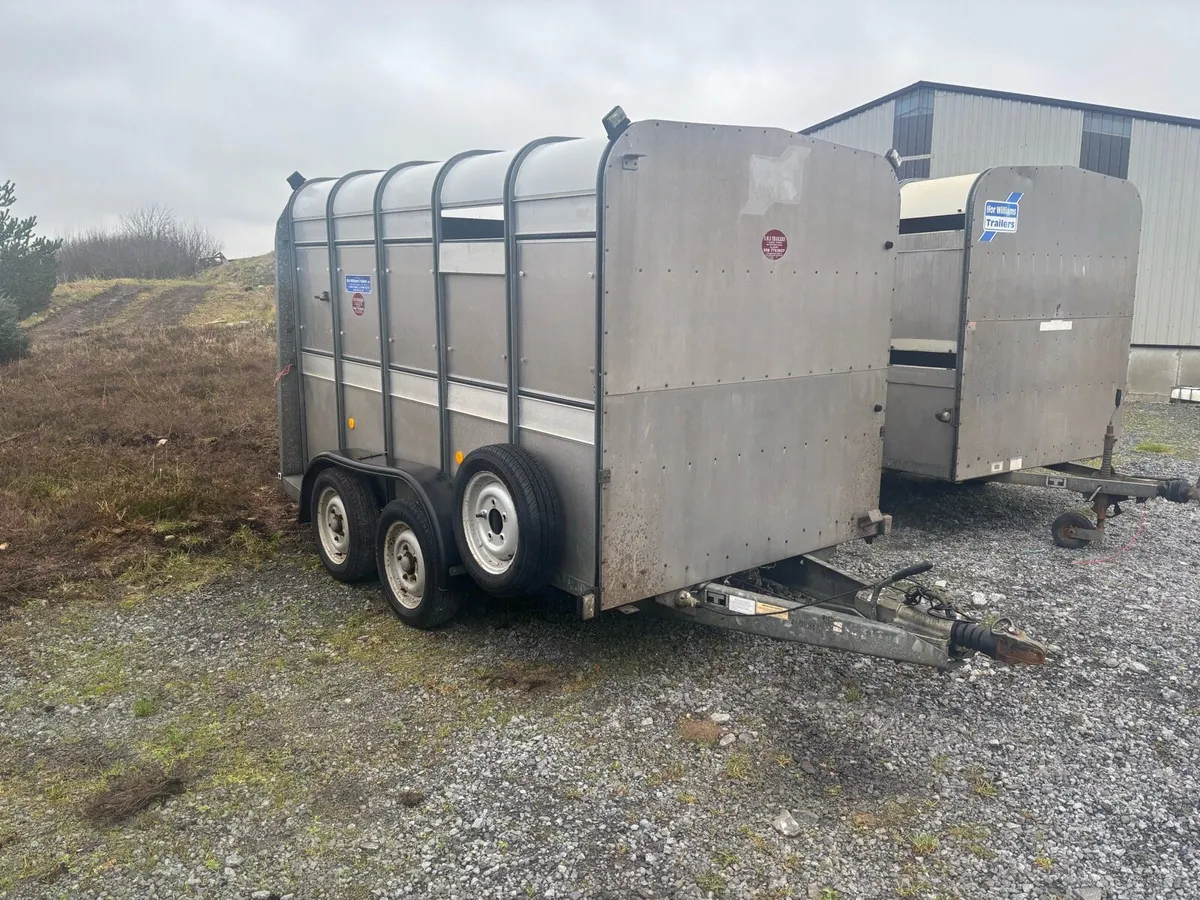 10x6 Ifor Williams Livestock Trailers x2 - Image 2