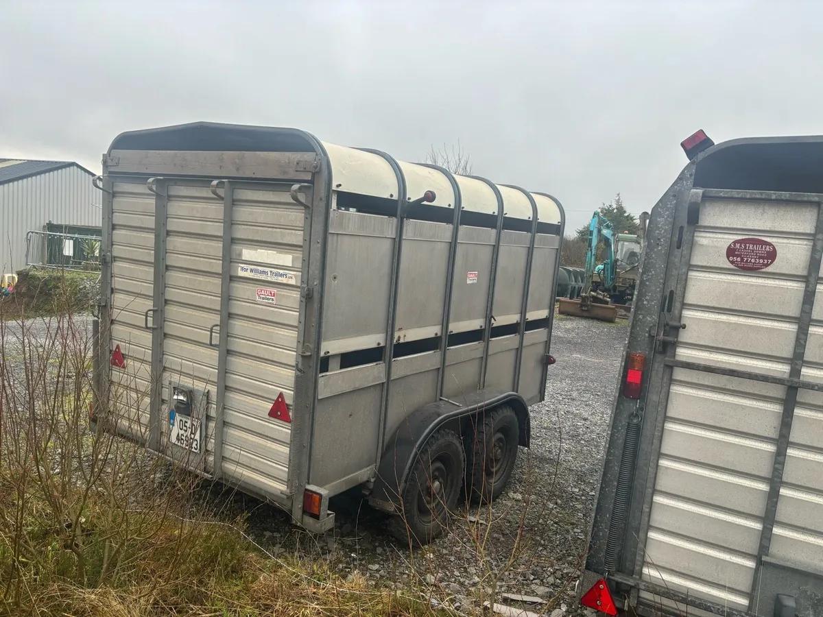 10x6 Ifor Williams Livestock Trailers x2 - Image 3