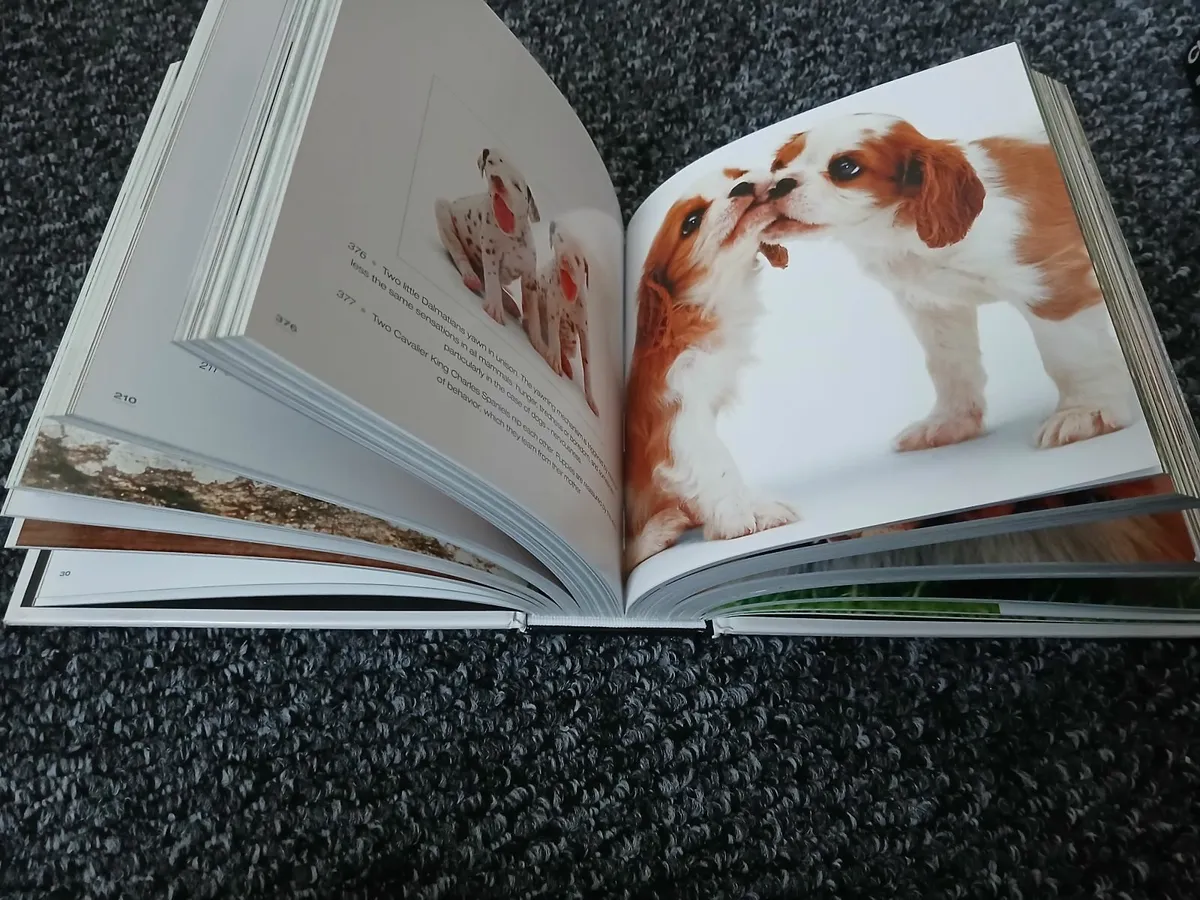 Cube books - Image 4