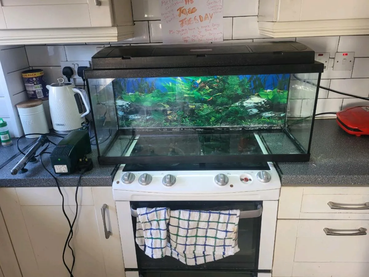 Fish tank - Image 1