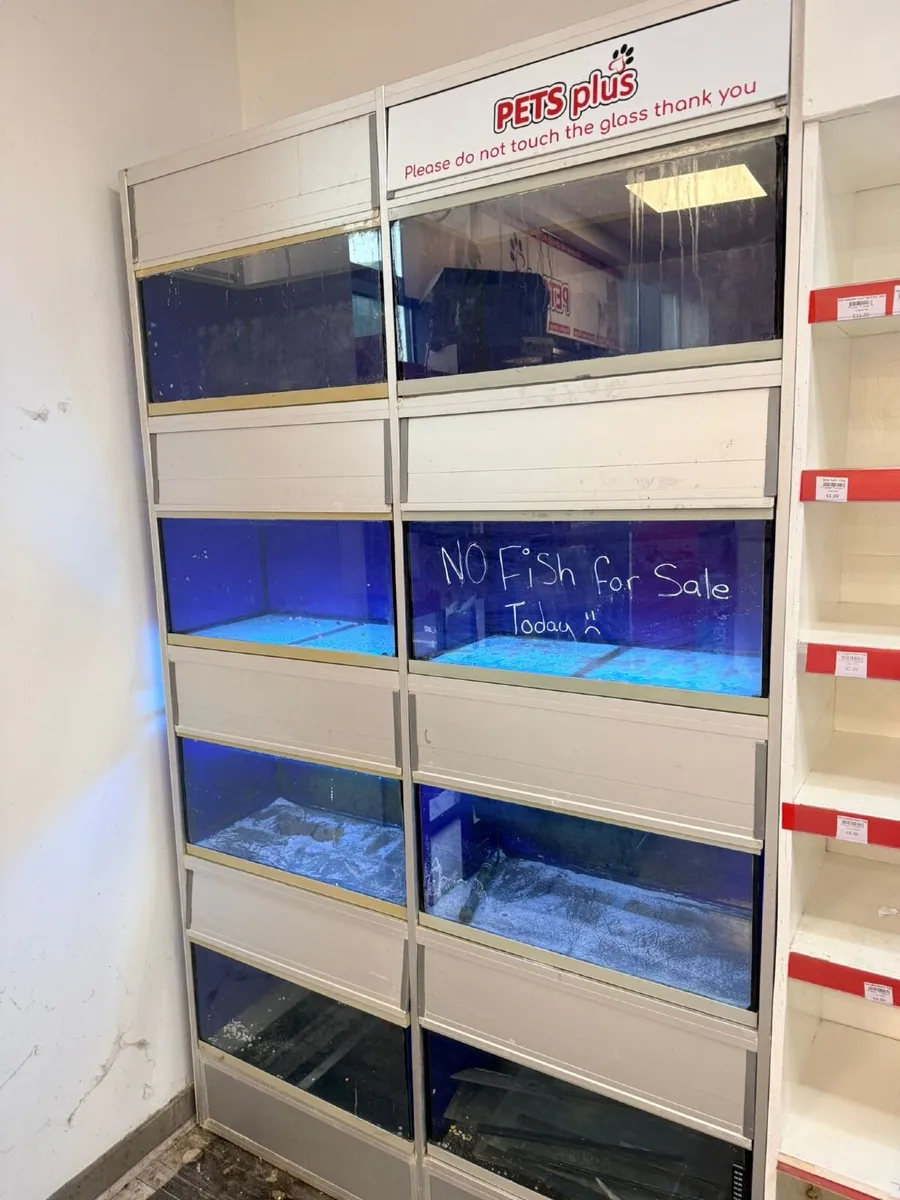 Fish Tank Aquarium Commercial Unit - Image 2