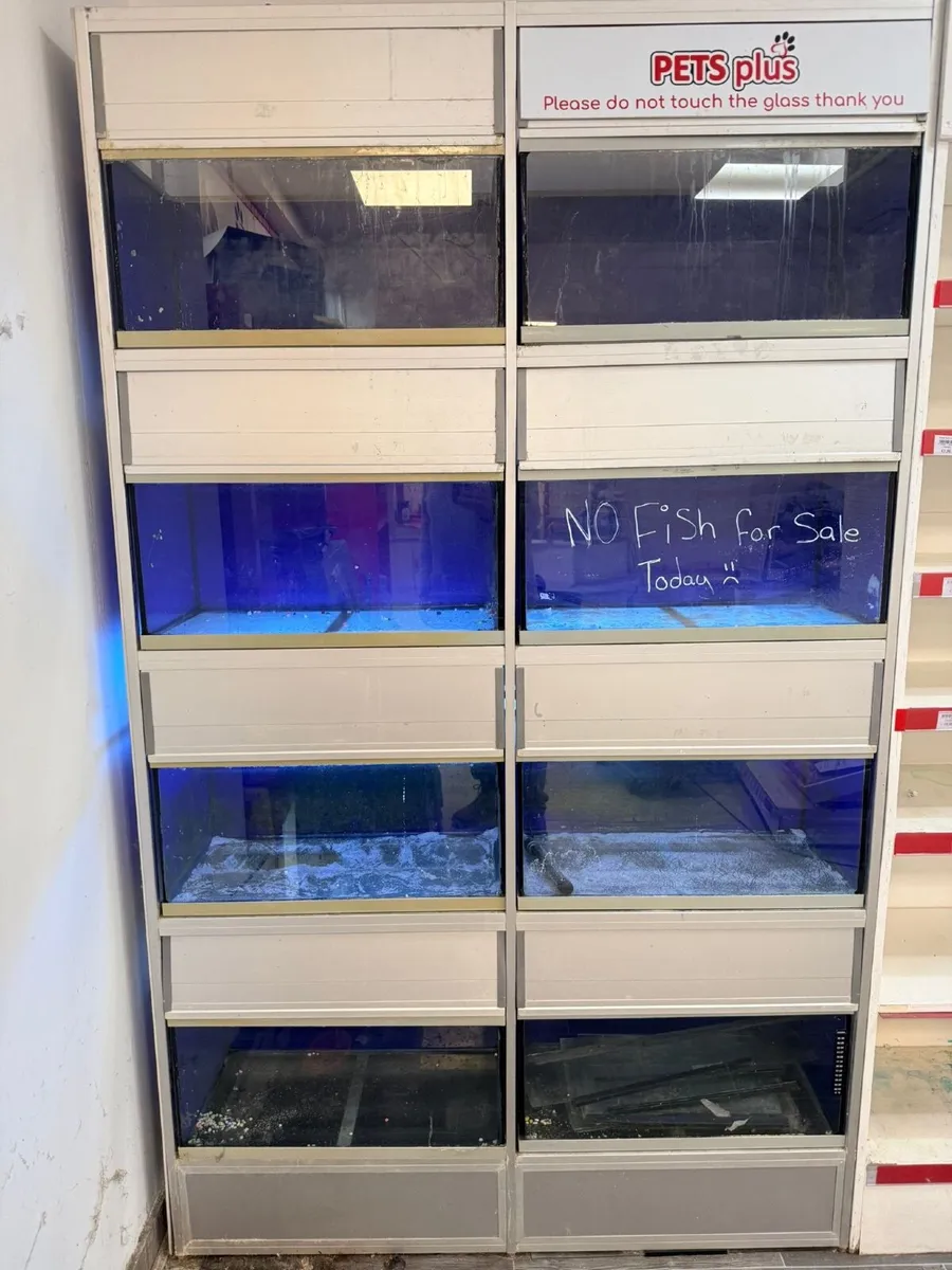 Fish Tank Aquarium Commercial Unit - Image 1