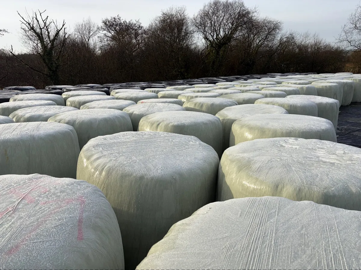 Round bale silage