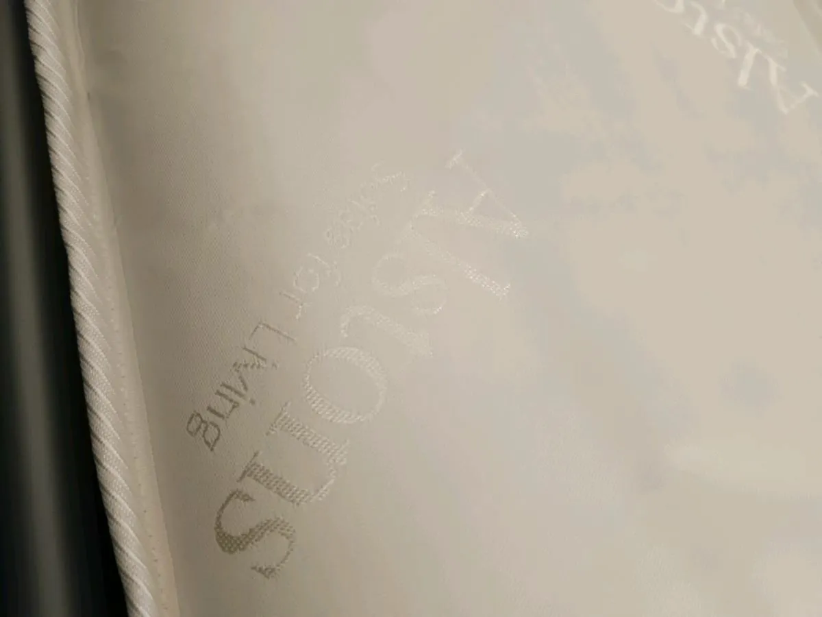 Alstons double sofabed - Image 4