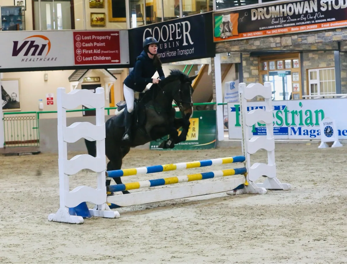 148 ish mare - Image 1