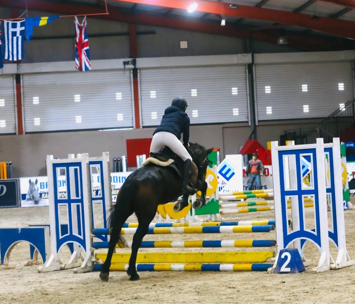 148 ish mare - Image 2