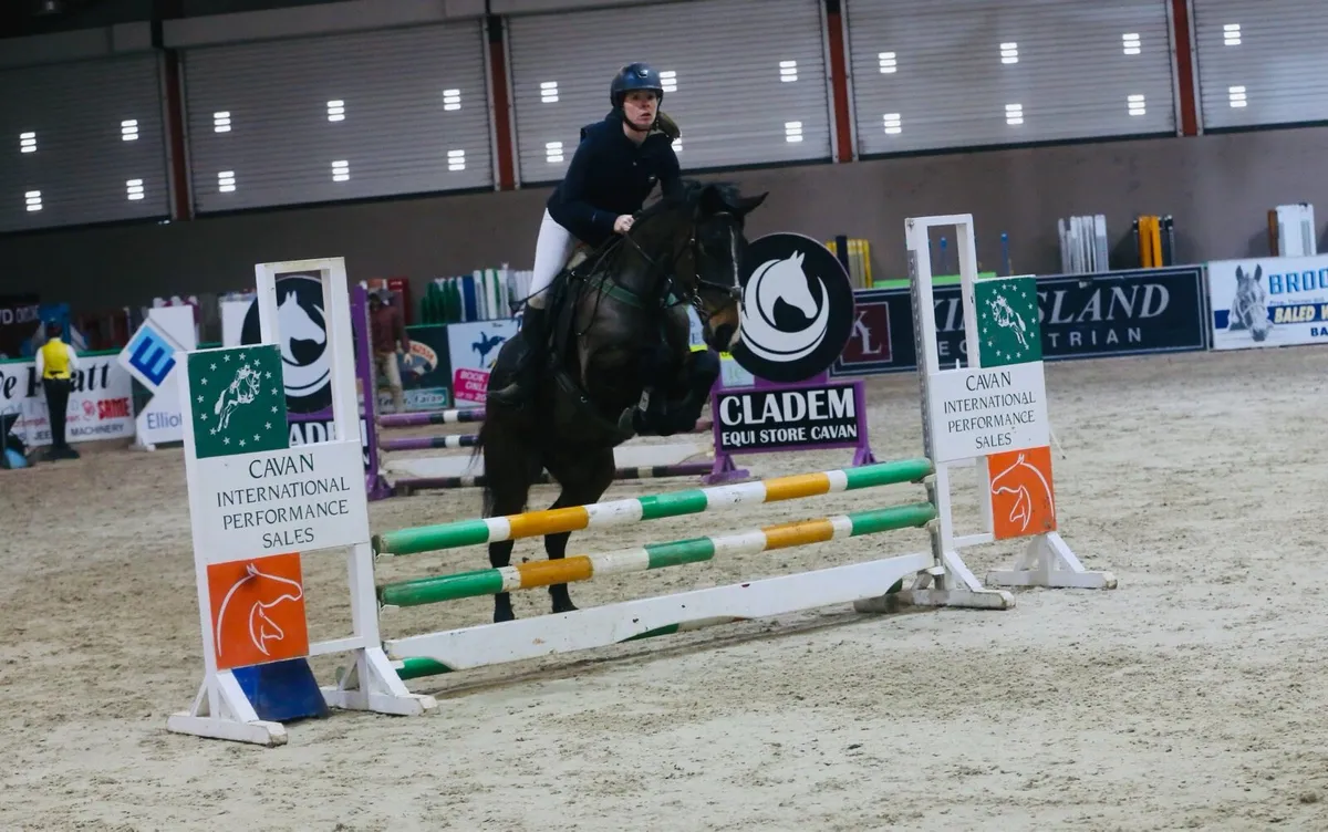 148 ish mare - Image 3