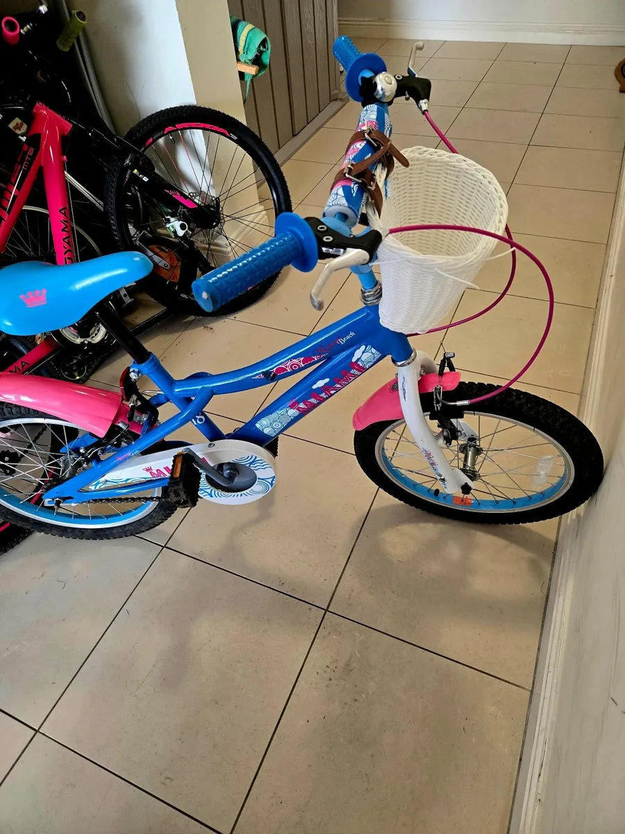 Gorgeous Girls 20" Bike - Image 1