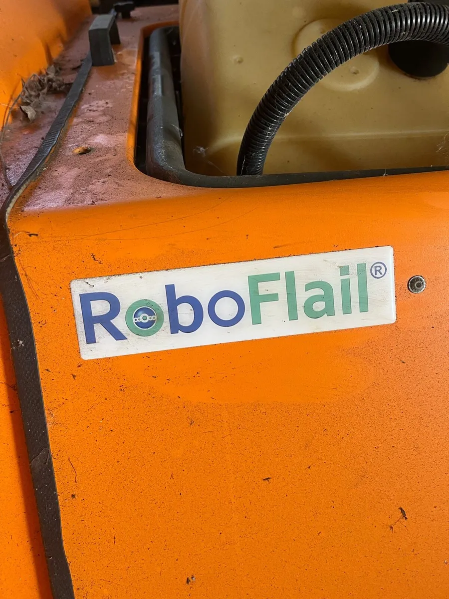 RoBo Flail - Image 2