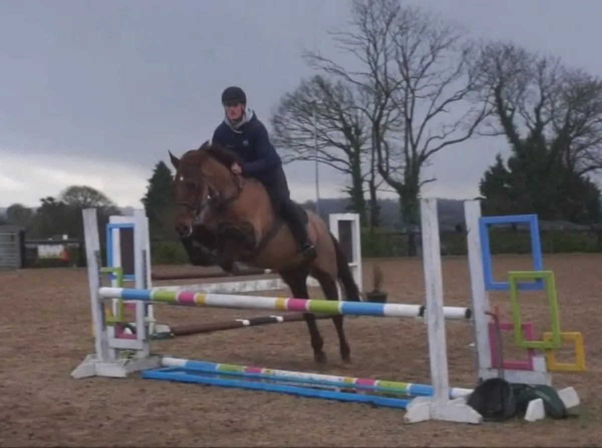 🌟 Super All-Rounder Type 🌟 - Image 3