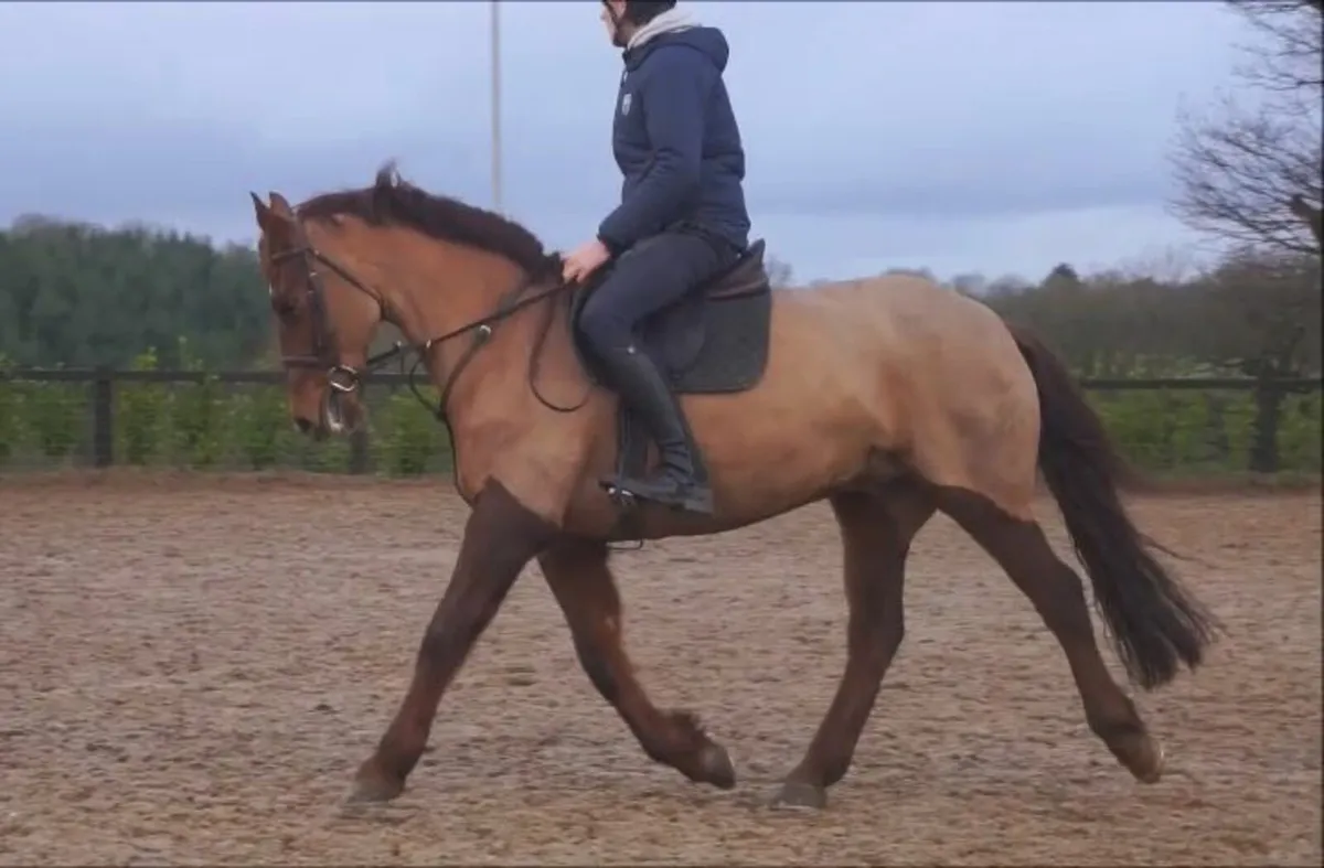 🌟 Super All-Rounder Type 🌟 - Image 4