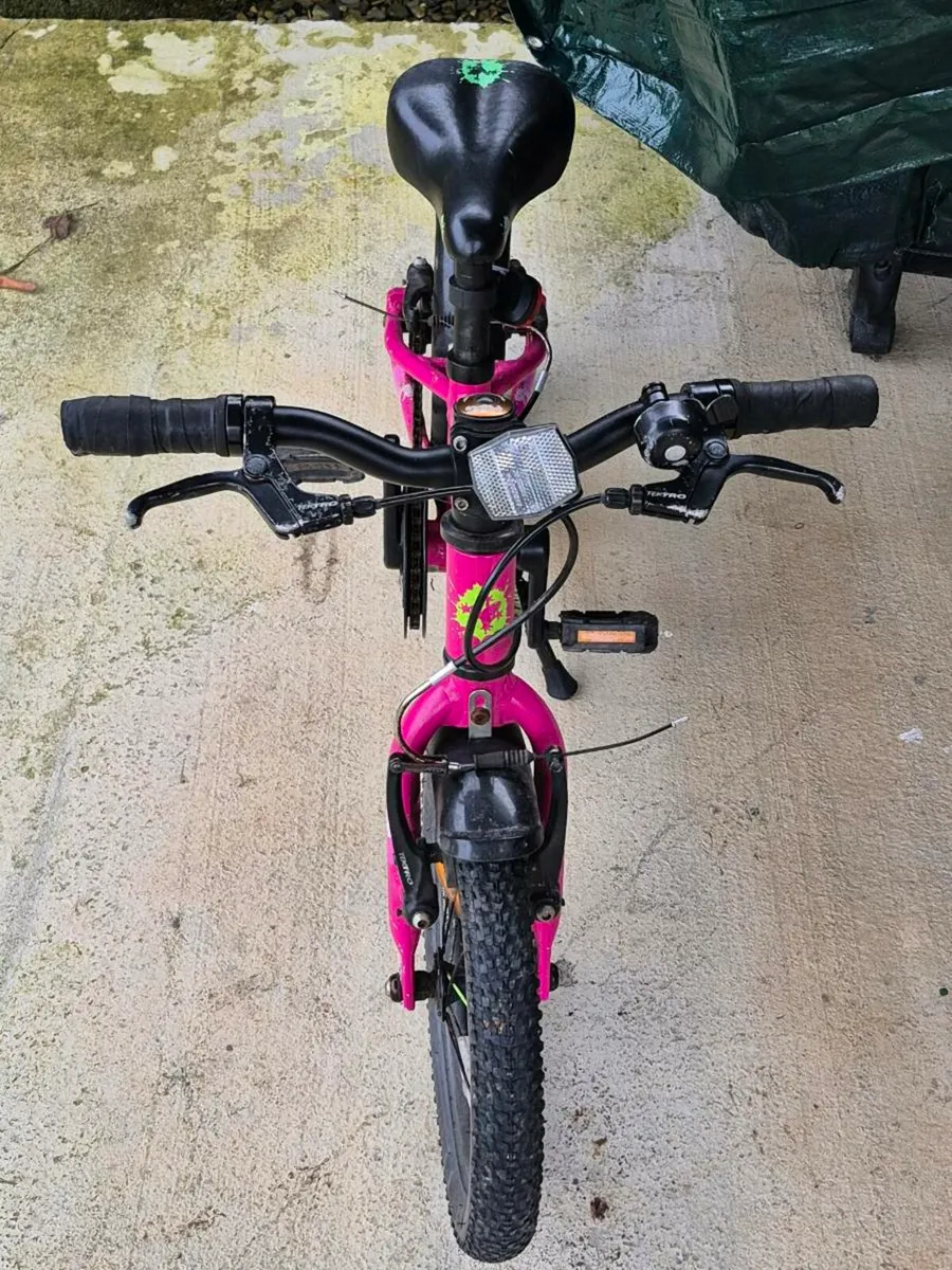 Kids Frog bike - Image 2