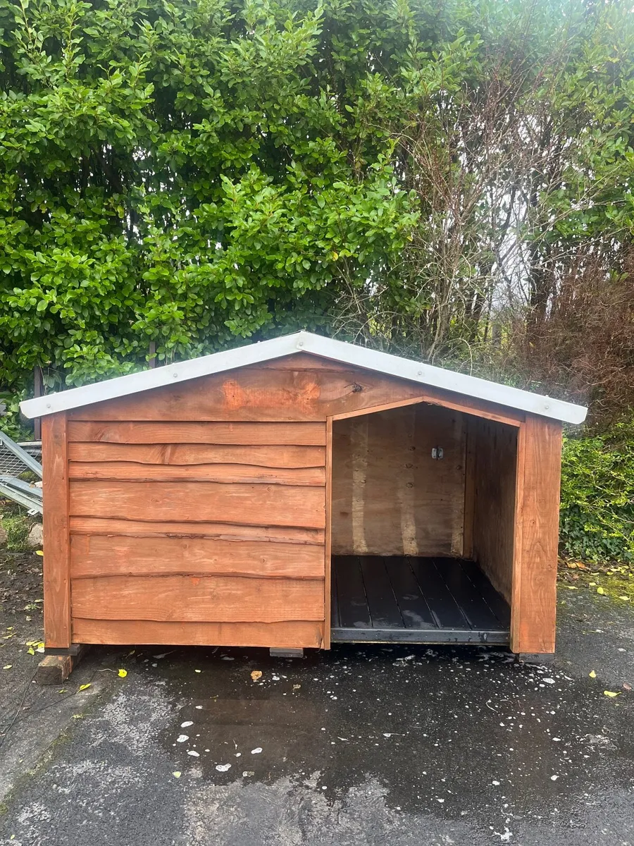 Dog Kennel for Sale - Image 4