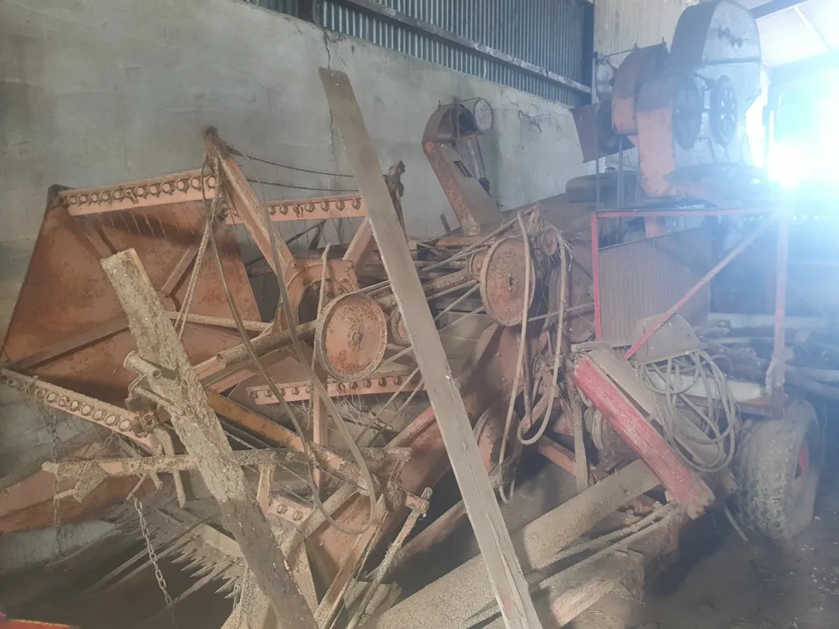 Dronningborg - Image 3