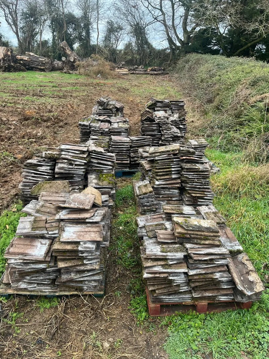 Cottage roof tiles - Image 2
