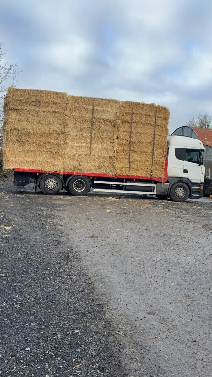 Hay and straw - Image 1