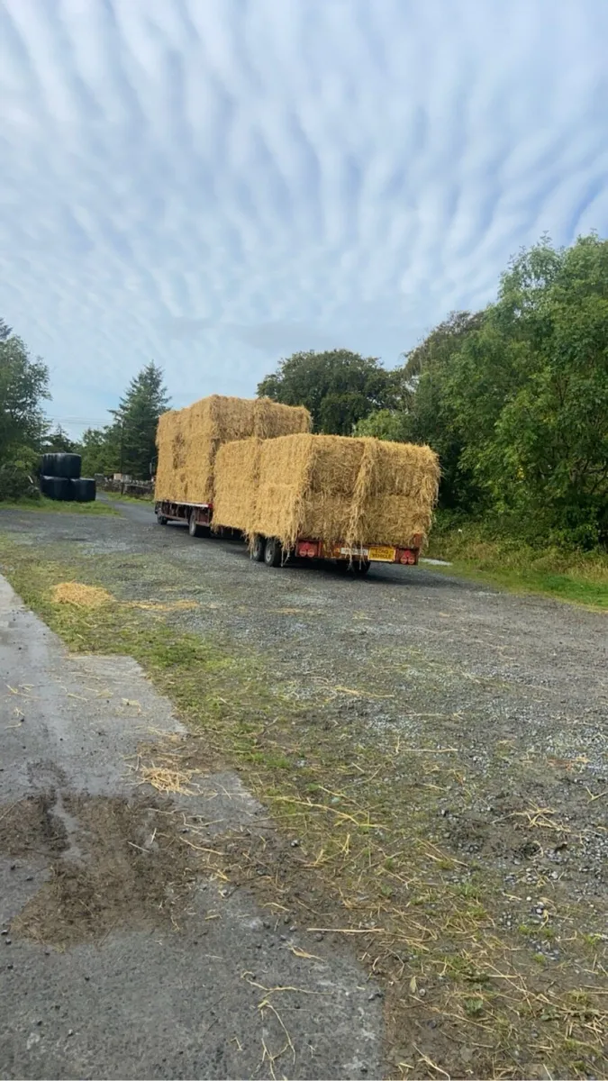Hay and straw - Image 4