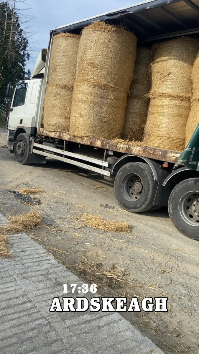 Hay and straw - Image 2