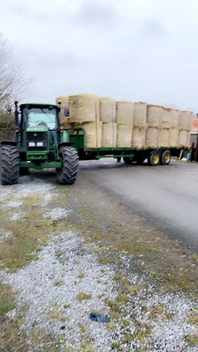 Hay and straw - Image 3