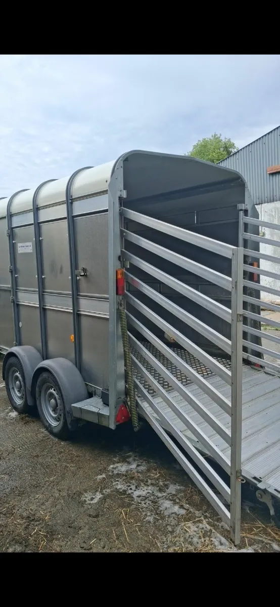Iver williams Cattle trailer like new - Image 2
