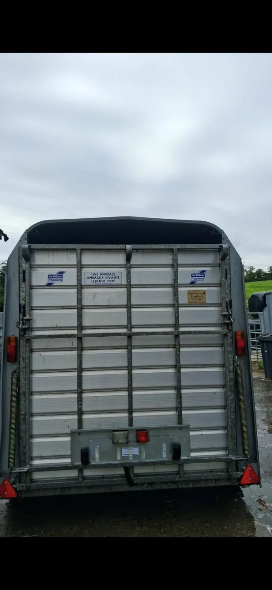 Iver williams Cattle trailer like new - Image 4
